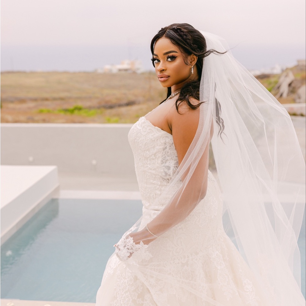 David’s Bridal applique cathedral veil